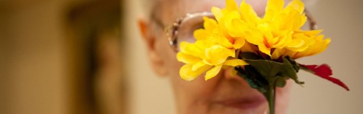 StillDreaming_1_1000x316